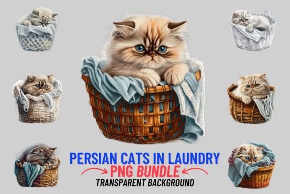 Persian in Laundry Basket 8 PNG Clipart: A Designer's Guide